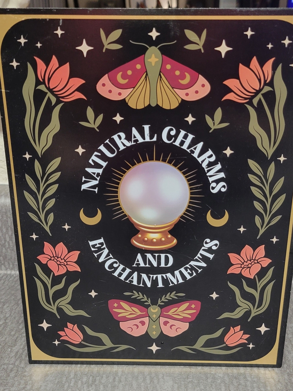 Target Natural Charms and Enchantments Wooden Book Storage Box with Potions